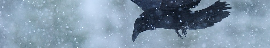 tumblr_mkwq4fJquE1s4q4nco1_1280